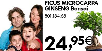 ofertas día del padre, 19 de marzo 2009 en Ikea Asturias
