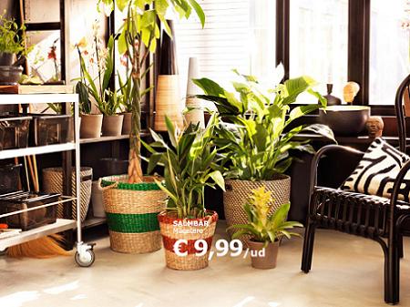 Plantas Ikea