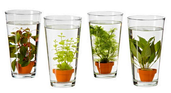 ikea-planta-vattenrall